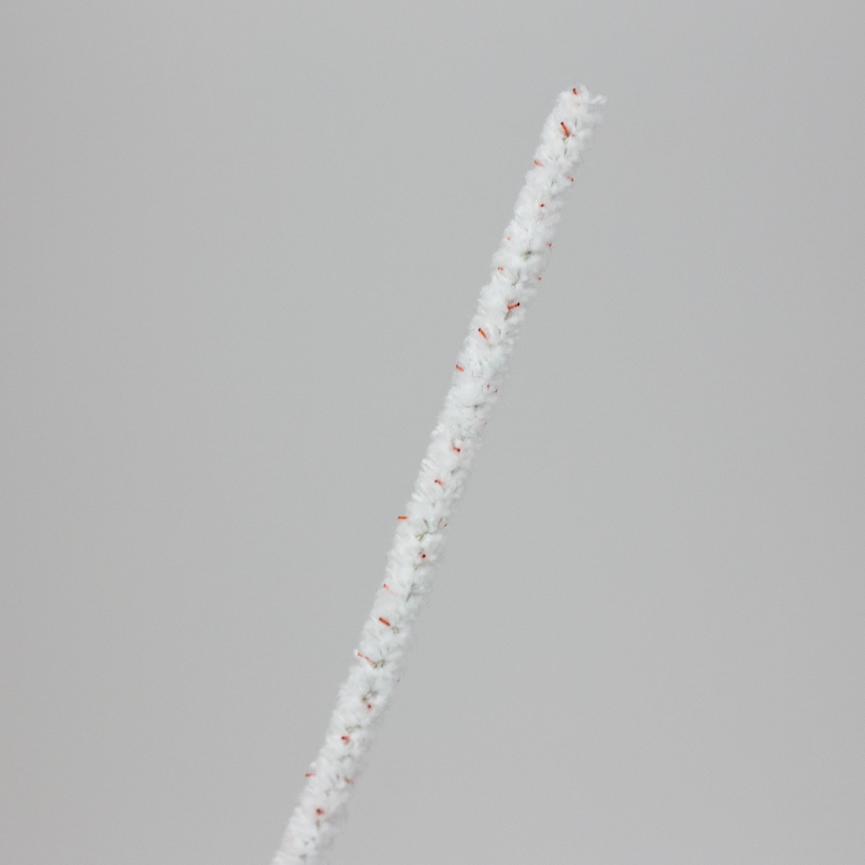 Evolve - Pipe Cleaners Pack of 50