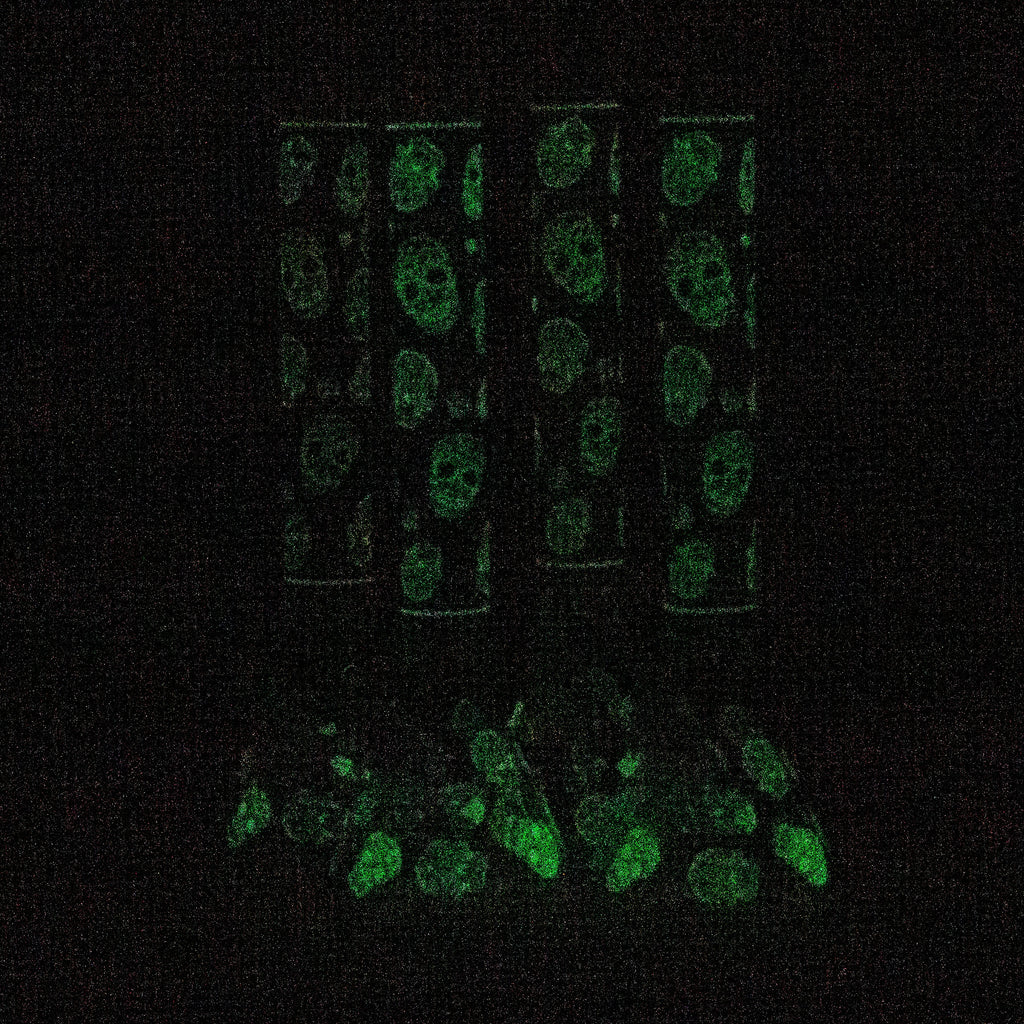 18" Skull Glow in the dark 7 mm glass water bong