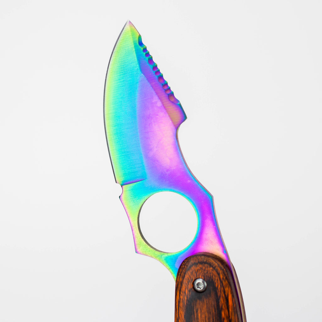 6.3″ Full Tang Fixed Blade Hunting Knife w/ Index Guard [T226098COL]