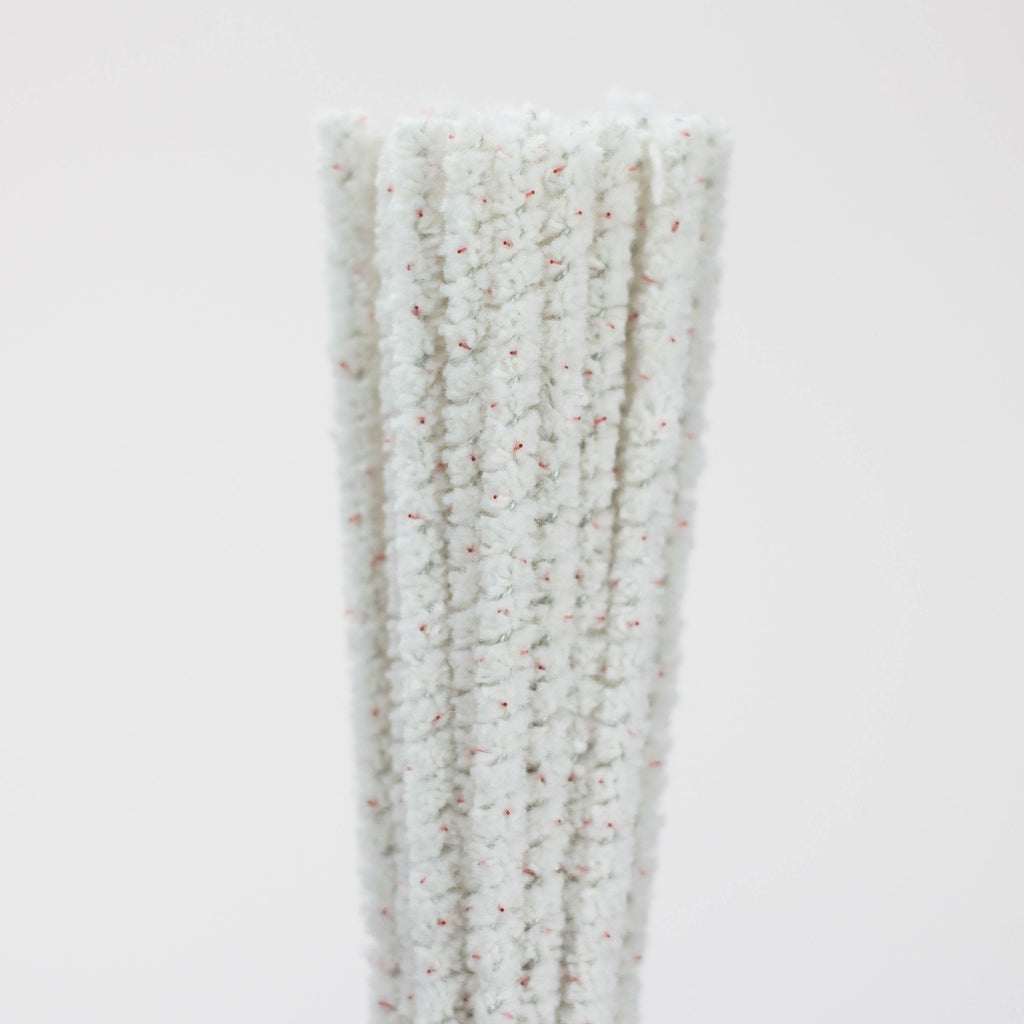 Randy's | 10" Tapered bristle pipe cleaners box of 30
