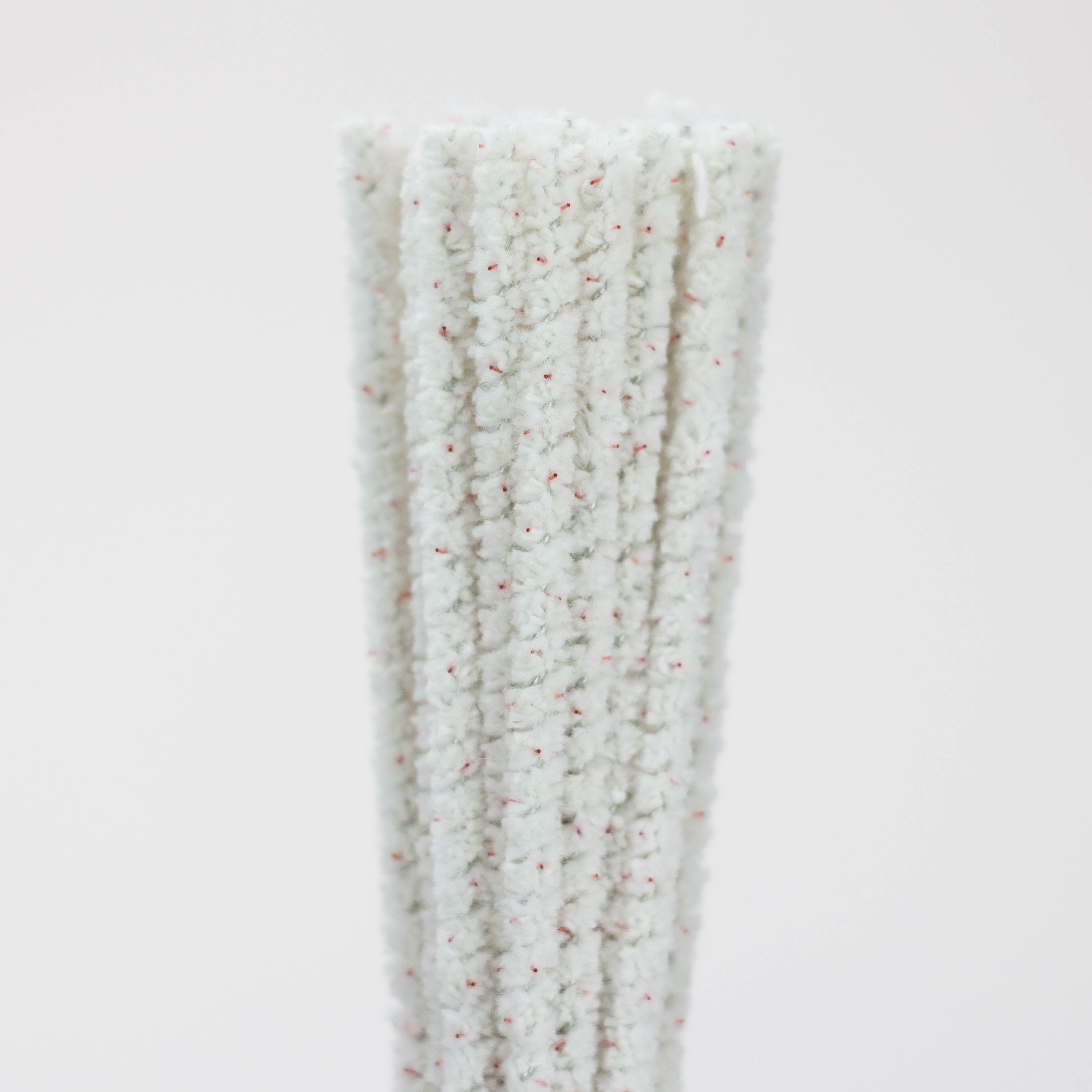 Randy's | 10" Tapered bristle pipe cleaners box of 30