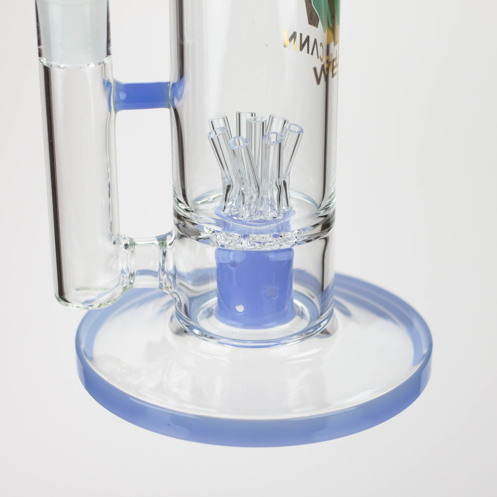 WELLCANN | 14.5" Glycerine Detachable Glass Bong [606]