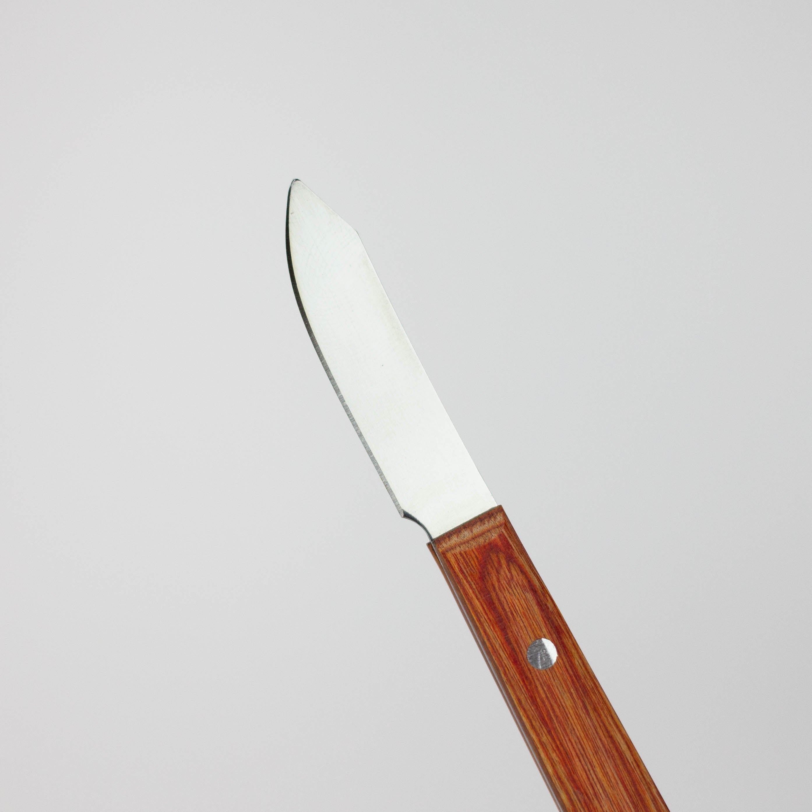 DANK  STAINLESS STEEL DABBER WITH WOOD HANDLE