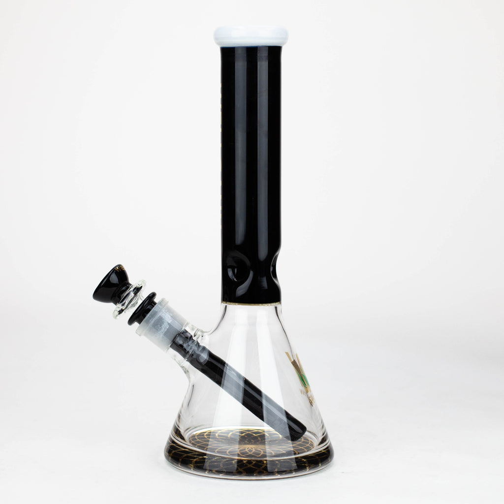 Wellcann | 10" Coloured Glass Beaker Bong with Wide Mouth