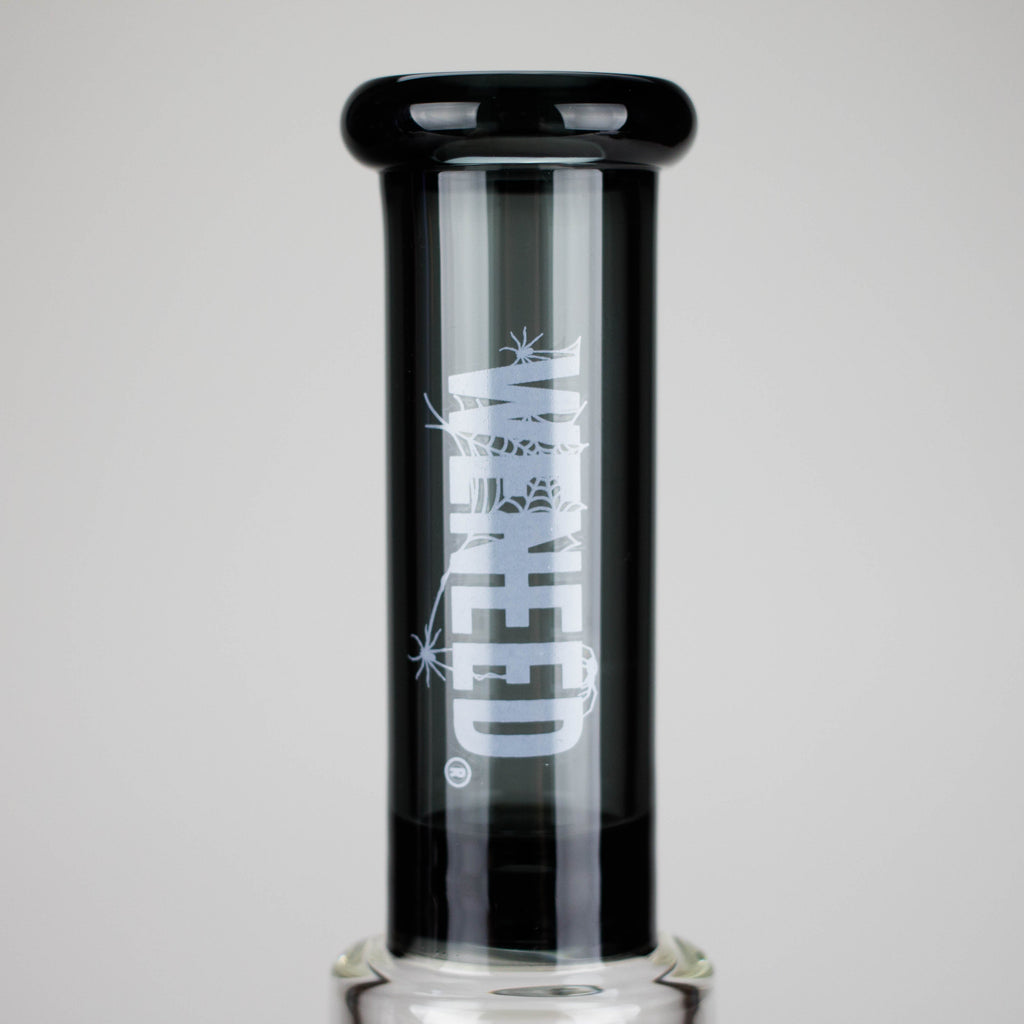 WENEED | 12" SpiralFlow Glass Bong
