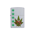 Zippo 205 Smokin Van 04848