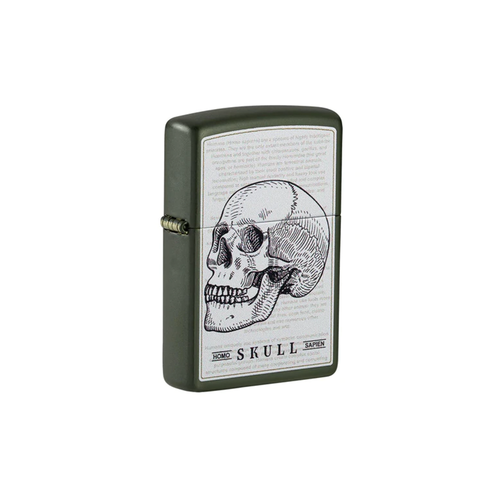 Zippo 49602 Skull Design