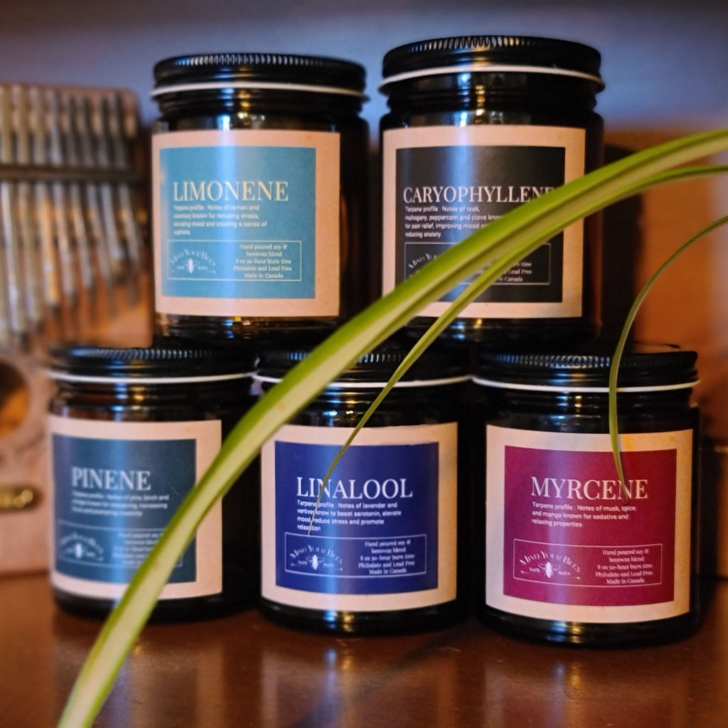 Mind Your Bees - Caryophyllene Terpene Inspired Luxury Candle