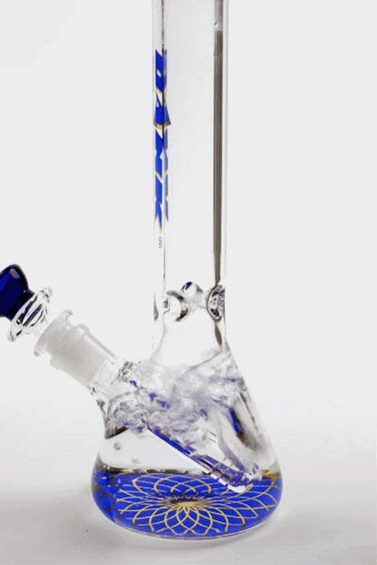 9.5" DANK beaker glass water bong