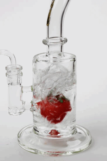 9" Genie Fruit dab Rig