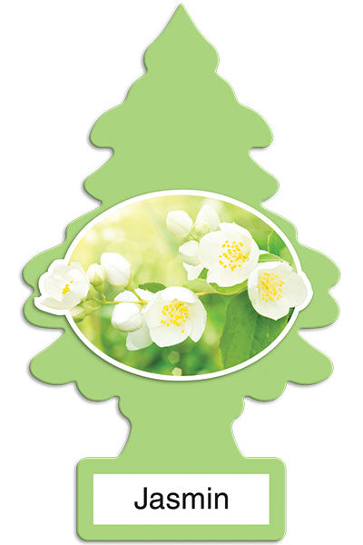 Little Trees fragrances