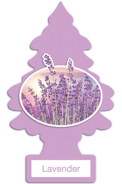 Little Trees fragrances