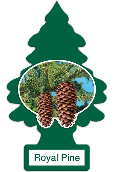 Little Trees fragrances