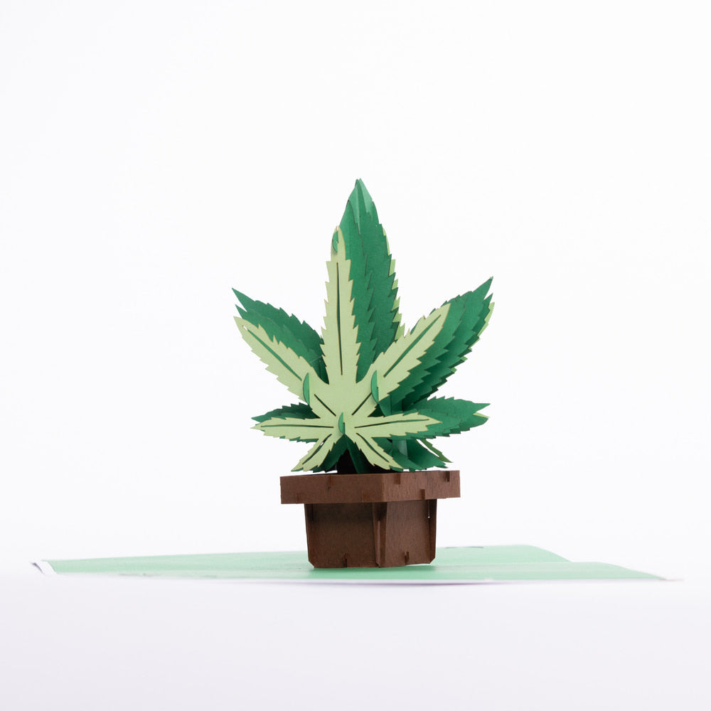 Intricate Greetings | Cannabis Leaf 3D Pop-Up Card – For Any Occasion