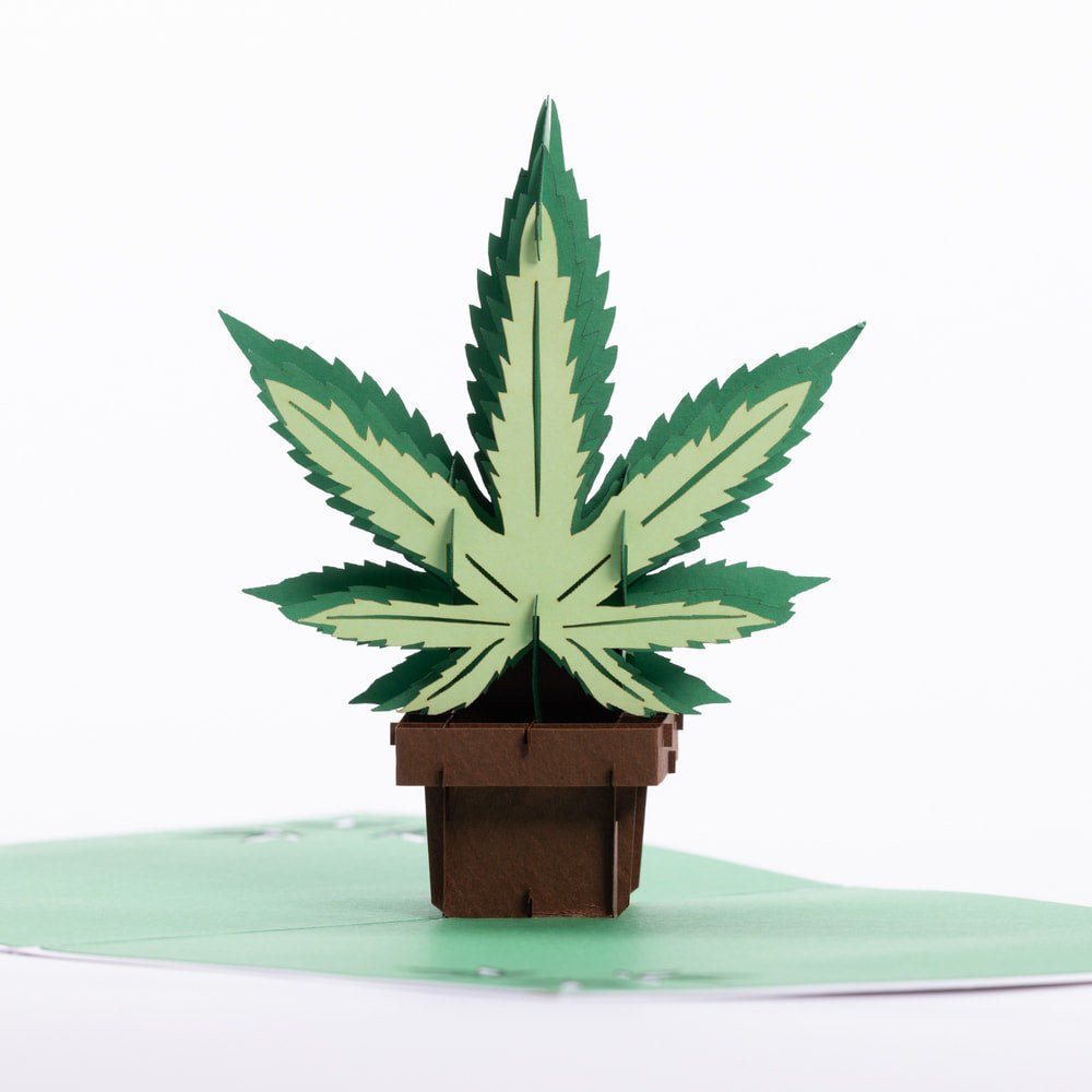 Intricate Greetings | Cannabis Leaf 3D Pop-Up Holiday Card