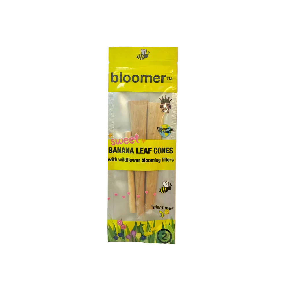 bloomer™ | sweet banana leaf cones box of 20