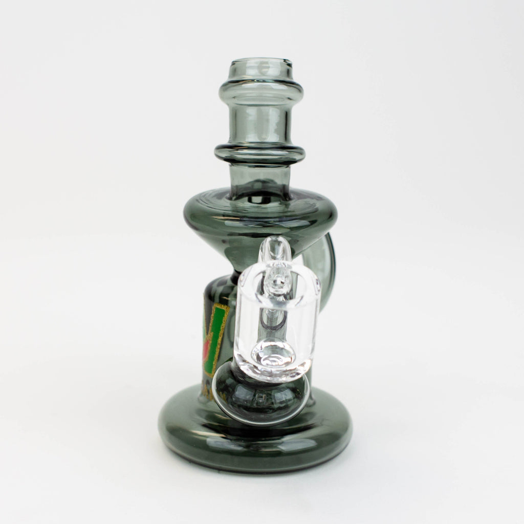6" WellCann Double Loop Recycle Rig with Banger