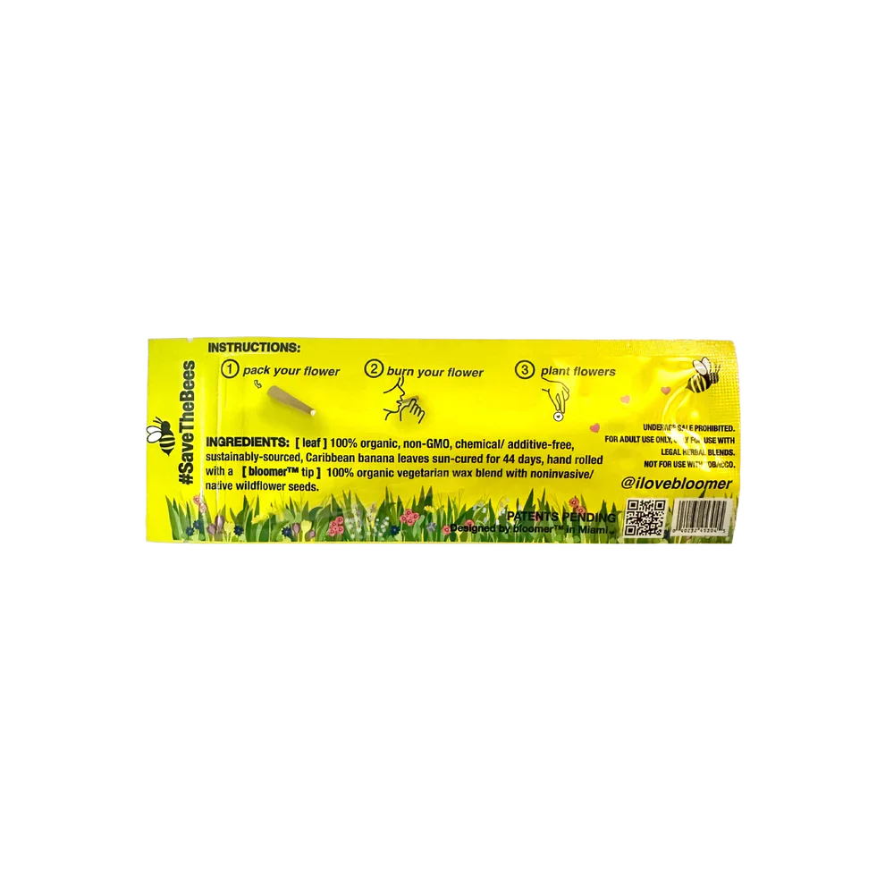 bloomer™ | sweet banana leaf cones box of 20